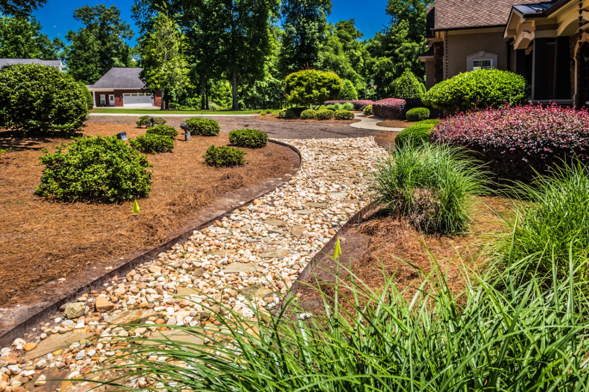 Image of Pine needle mulch walkway