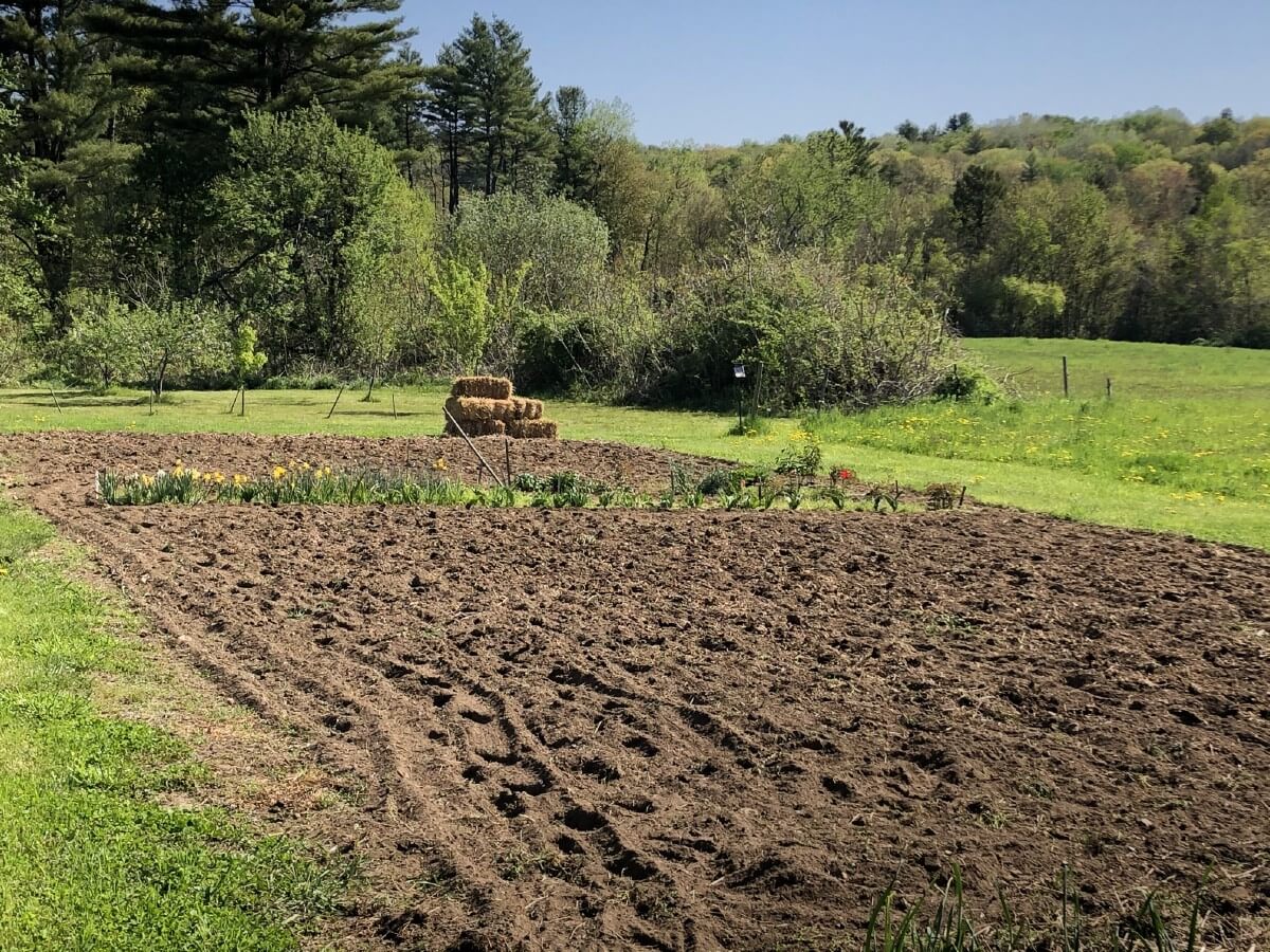 rototilled garden area