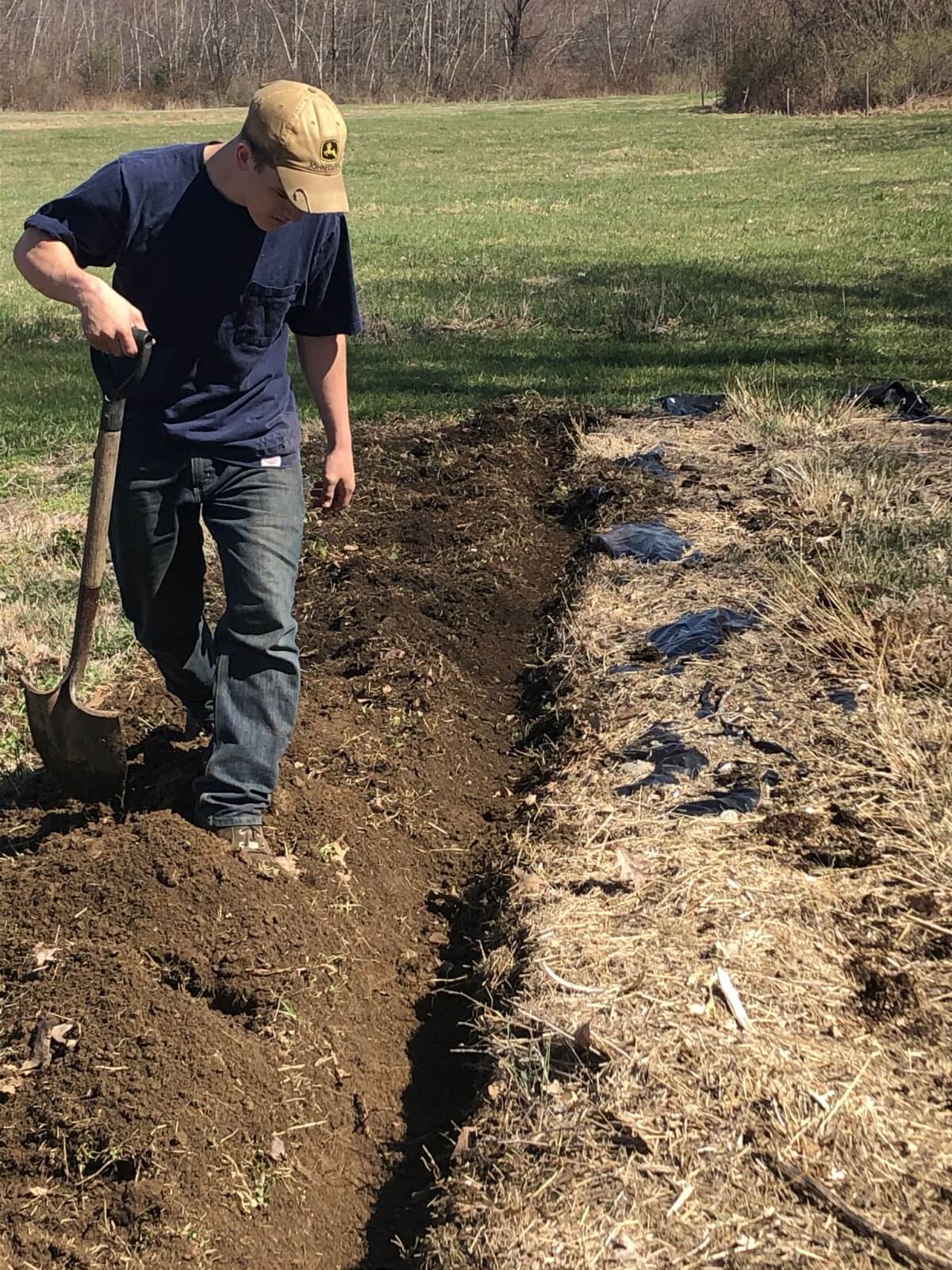new asparagus trench