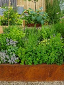 Herb Garden