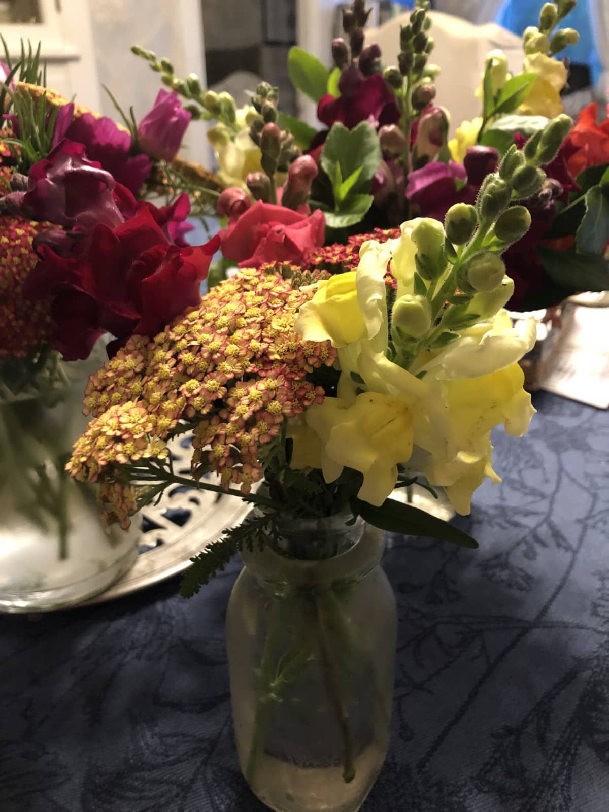 yarrow and snapdragons in vase 