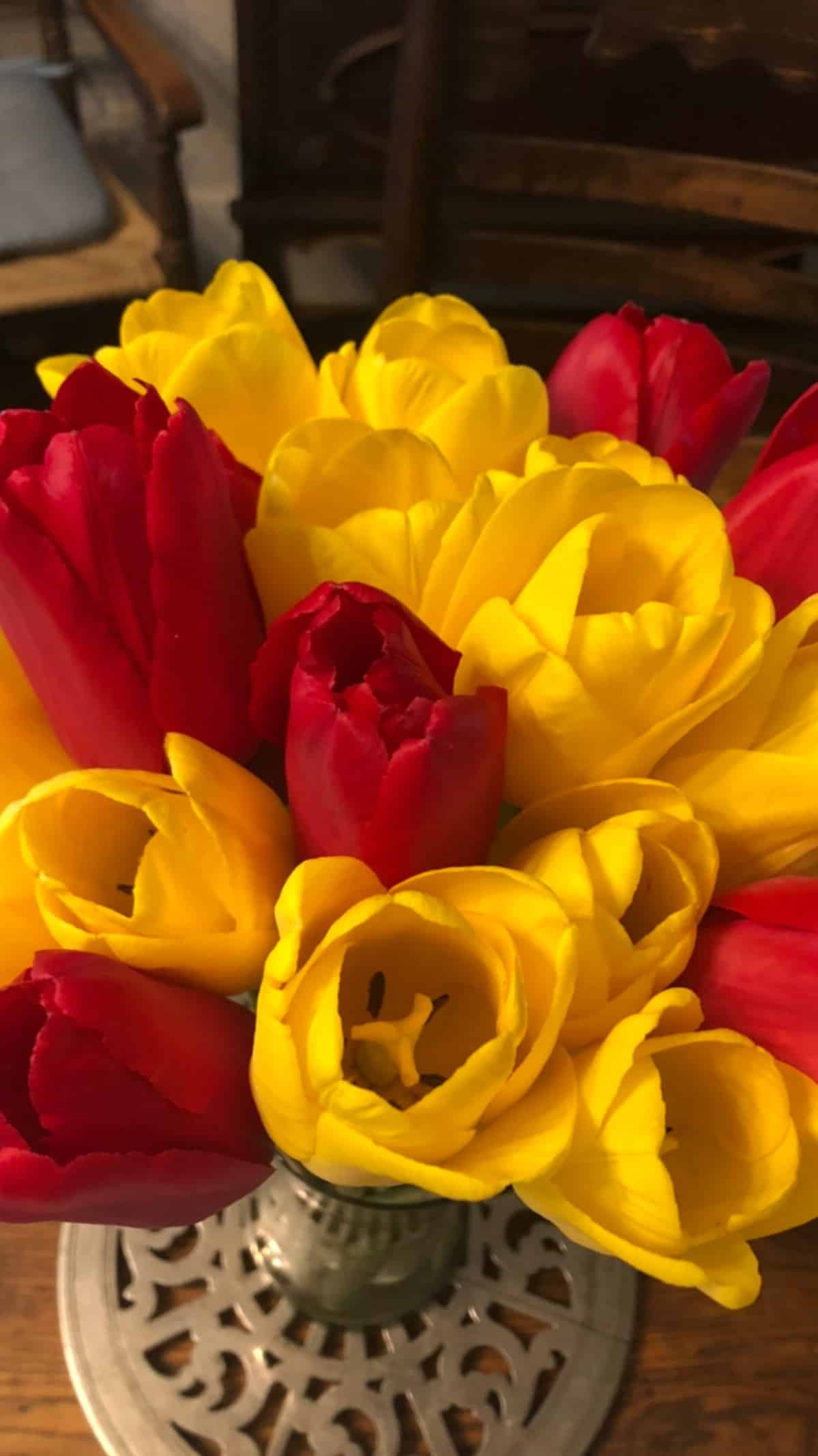 red and yellow tulips