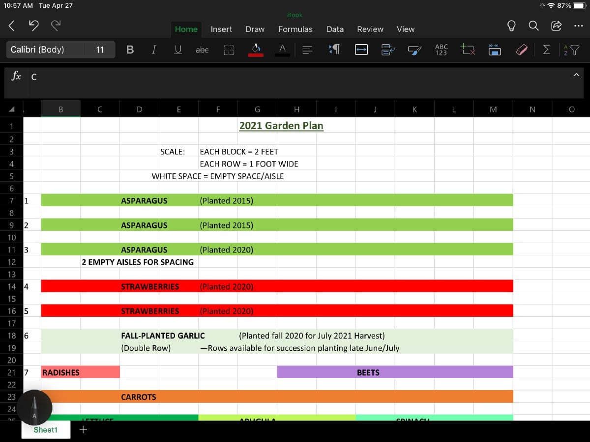 Spreadsheet program used for planning a vegetable garden layout