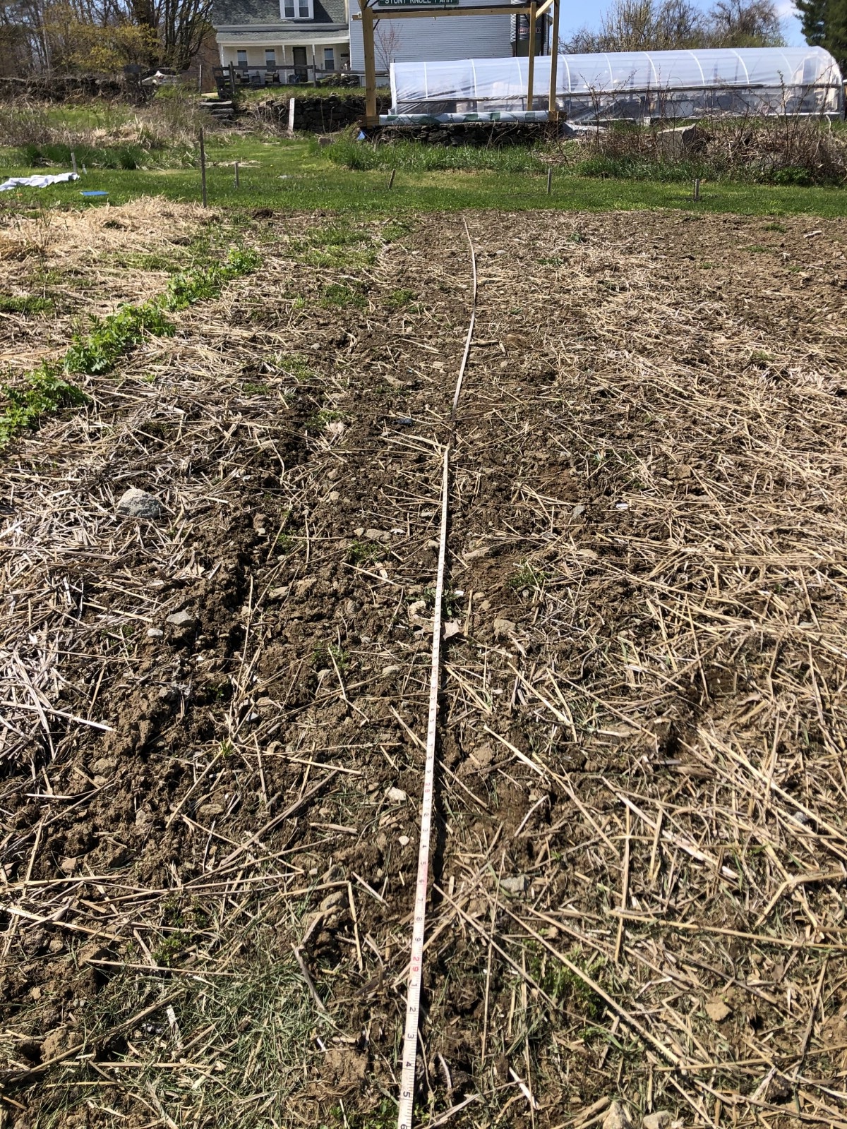 measuring a garden before planning the layout