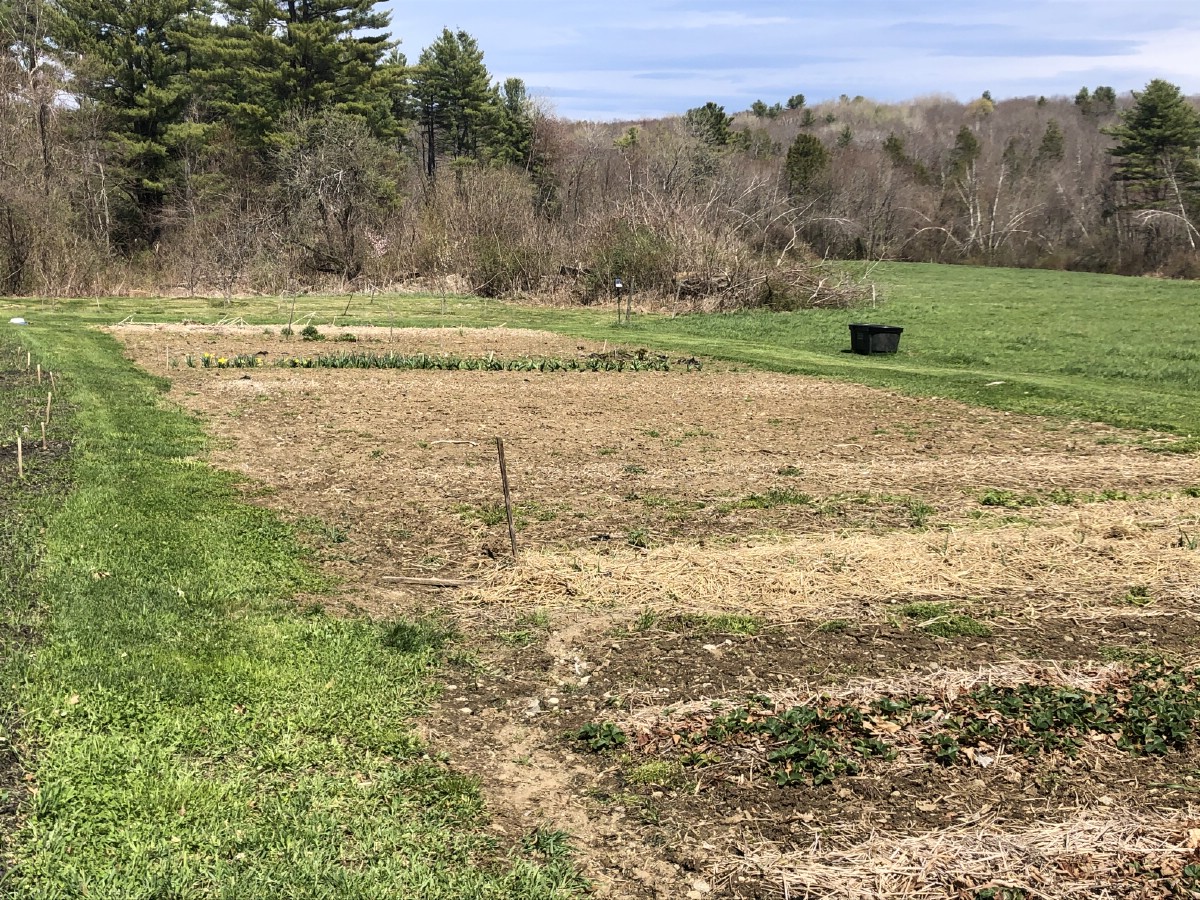 empty garden waiting to be planted