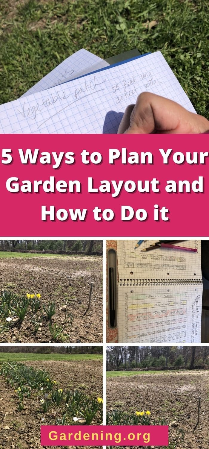 5 Ways to Plan Your Garden Layout and How to Do it - Gardening