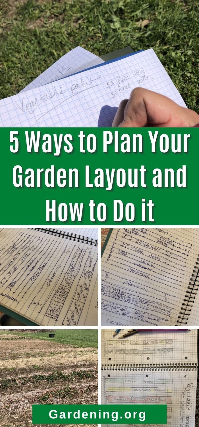 5 Ways to Plan Your Garden Layout and How to Do it - Gardening