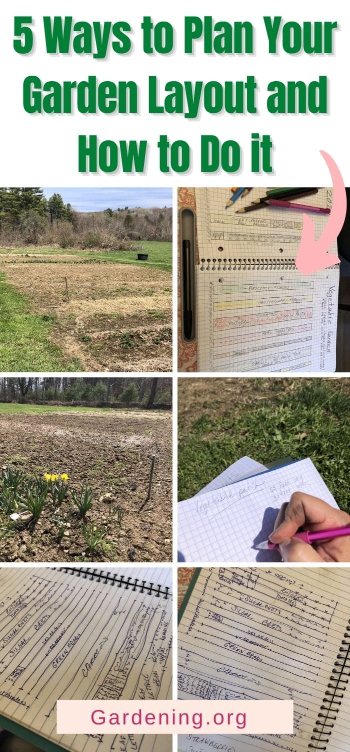 5 Ways to Plan Your Garden Layout and How to Do it - Gardening