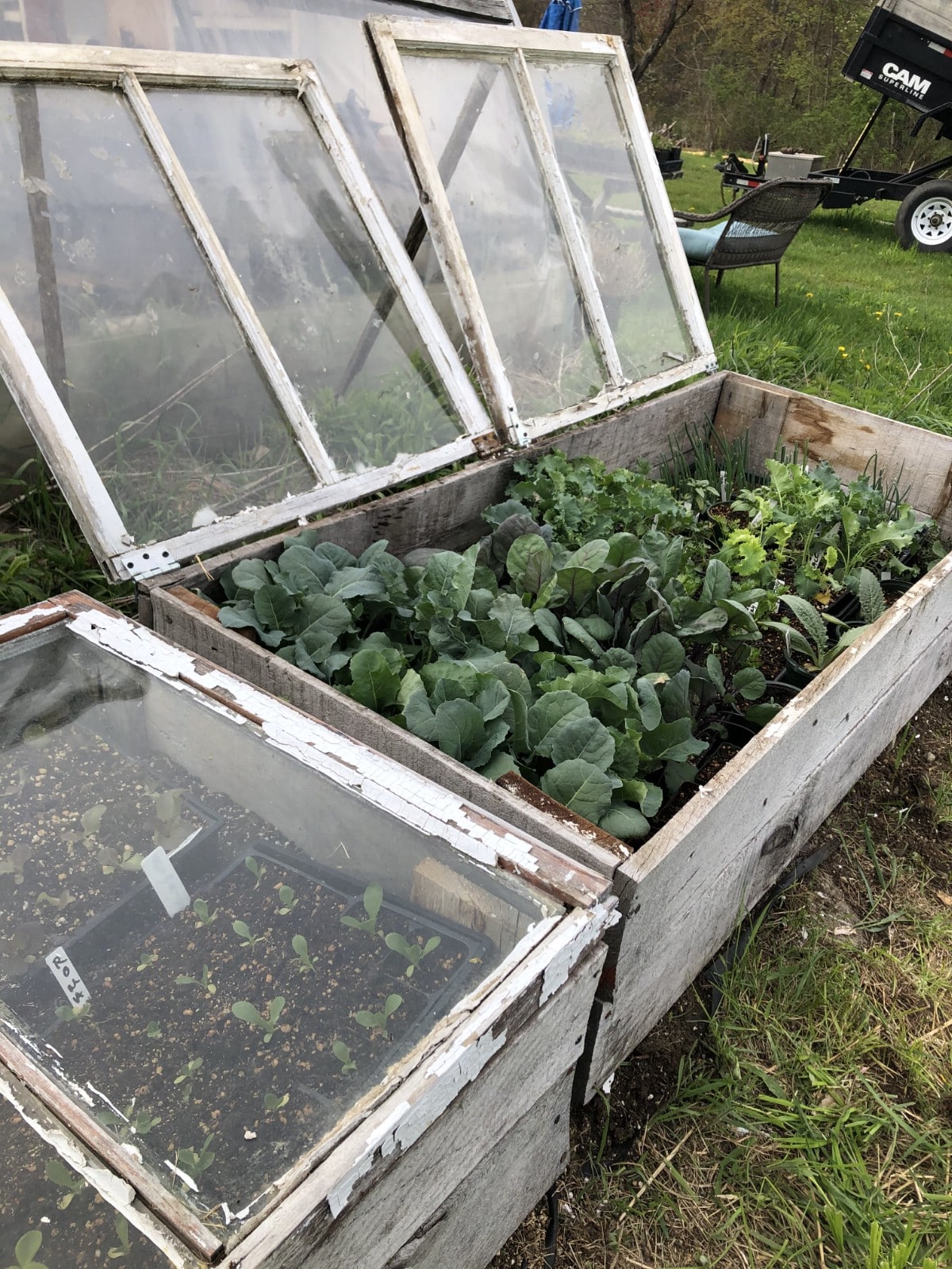 cold frame from old windows and boards