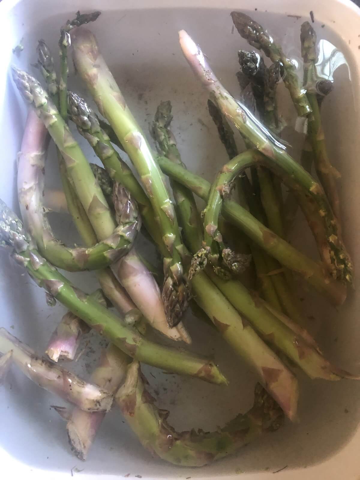 asparagus spears in water