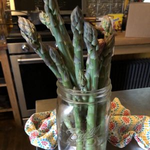 Asparagus freshly harvested in a mason jar.