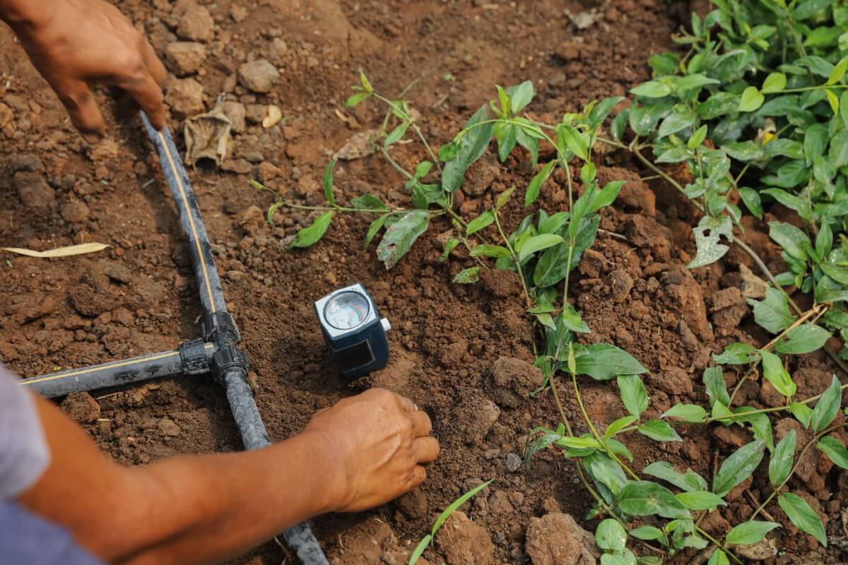soil test meter in ground