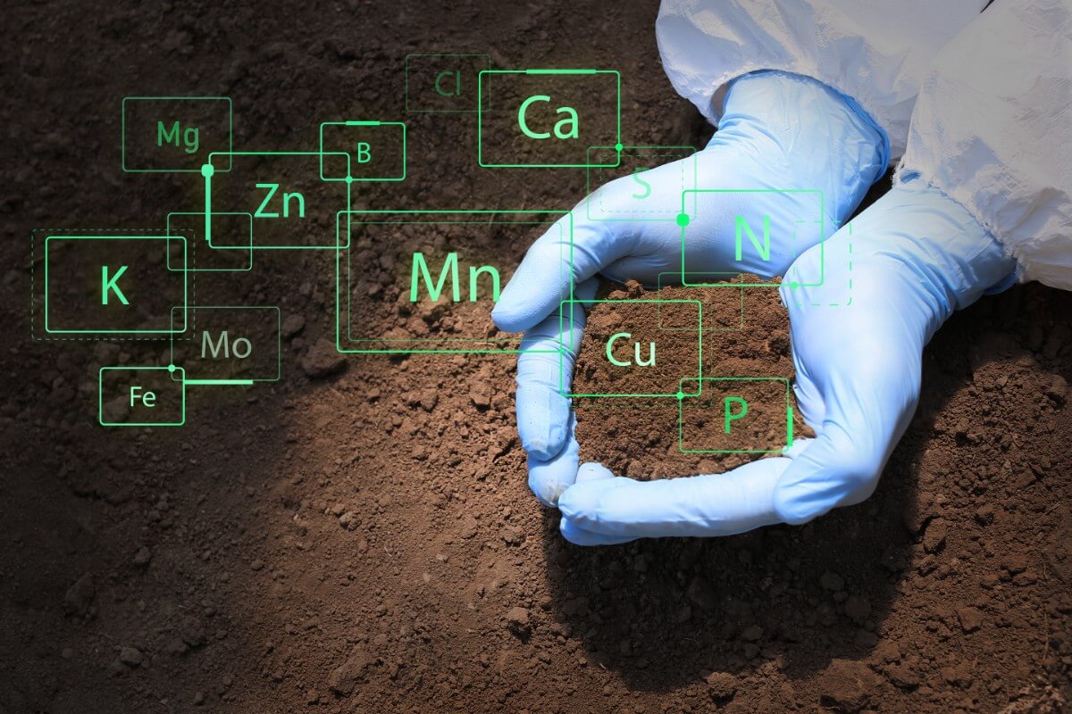 hand cupping soil with periodic element symbols