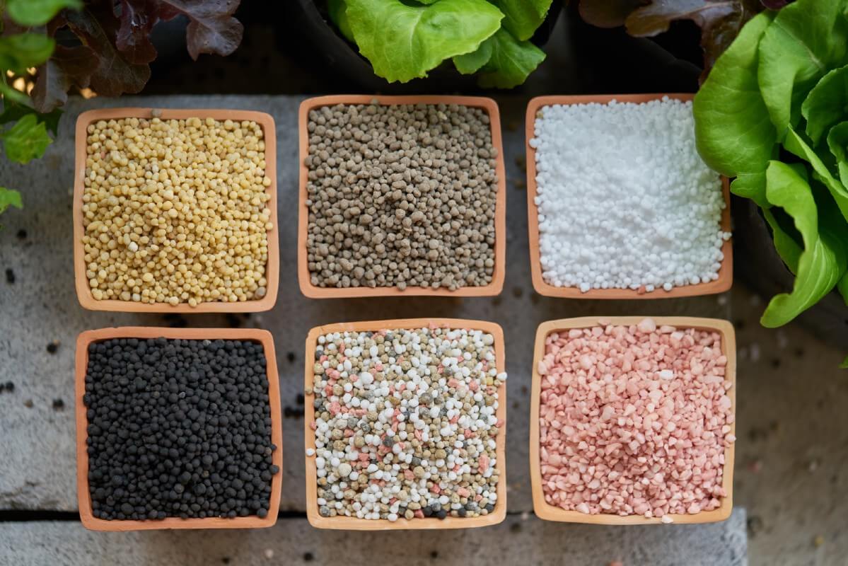 boxes of colored fertilizer beads