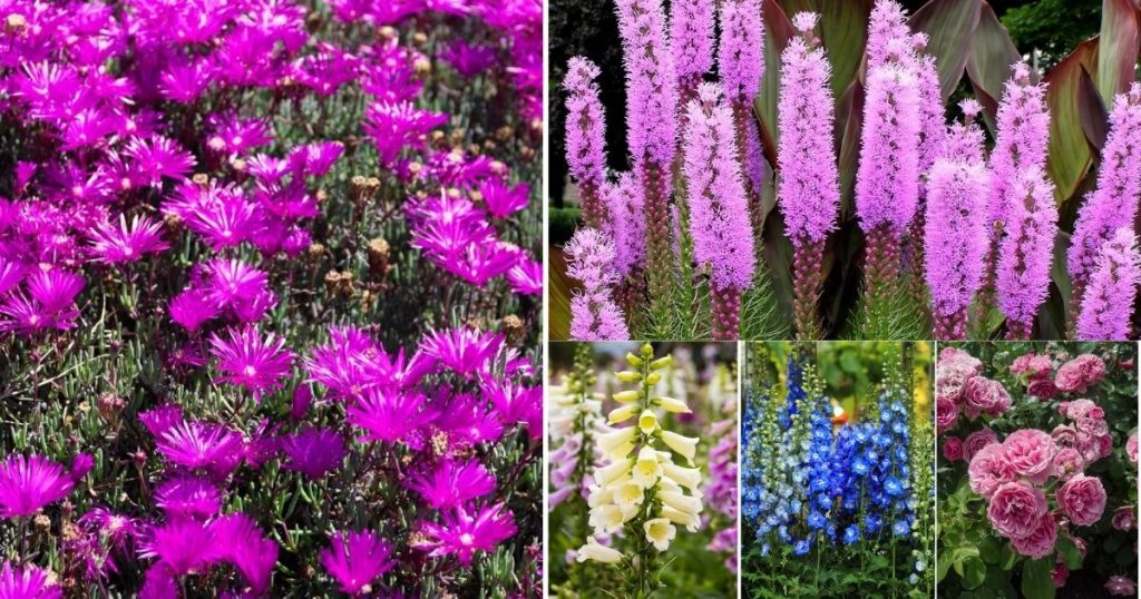 31 Of The Best Deer Resistant Perennials - Gardening