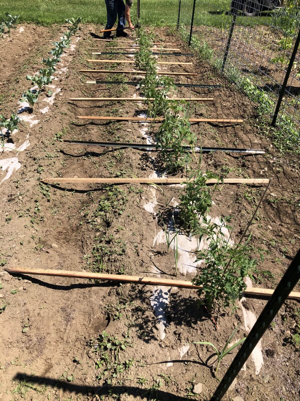 posts laid out for basket weave trellis