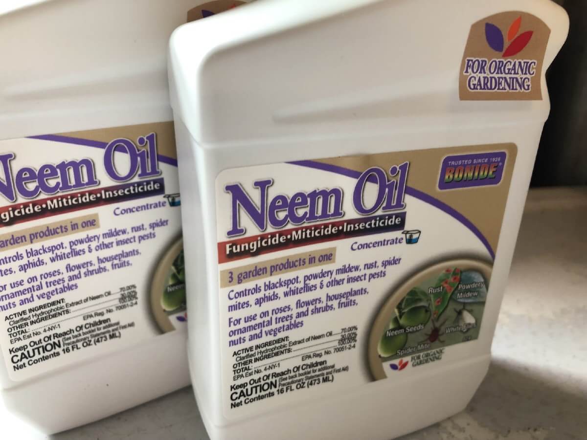 organic neem oil