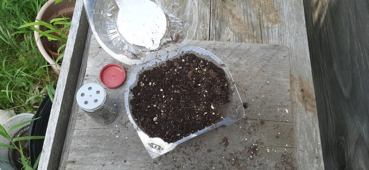 A plastic clamshell filled with soil and a jar of seeds.
