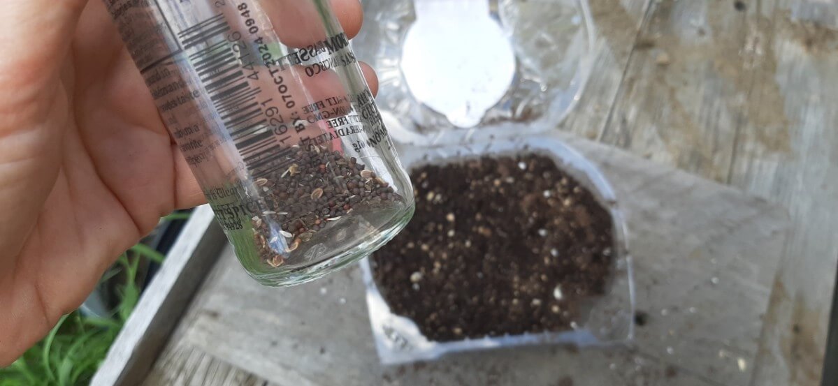 Spice jar repurposed to hold seeds.