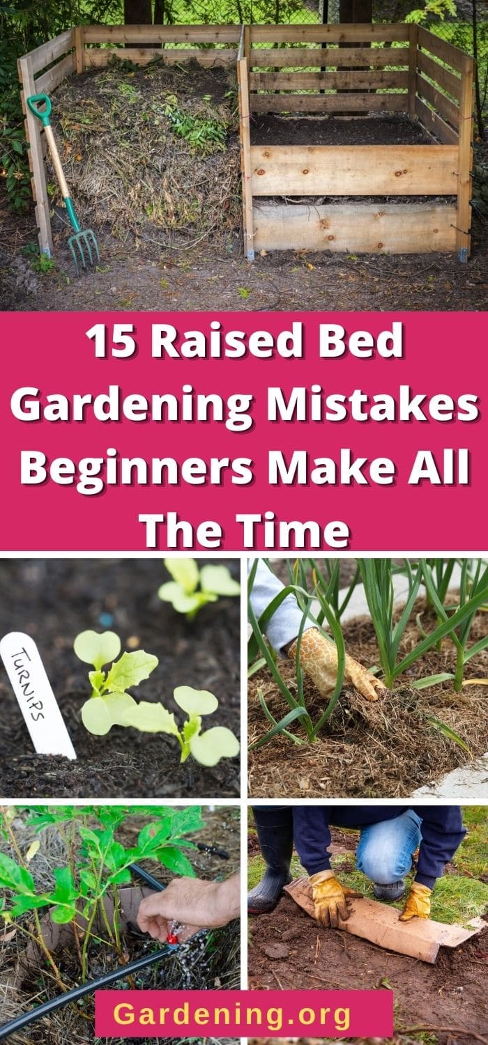 15 Raised Bed Gardening Mistakes Beginners Make - Gardening