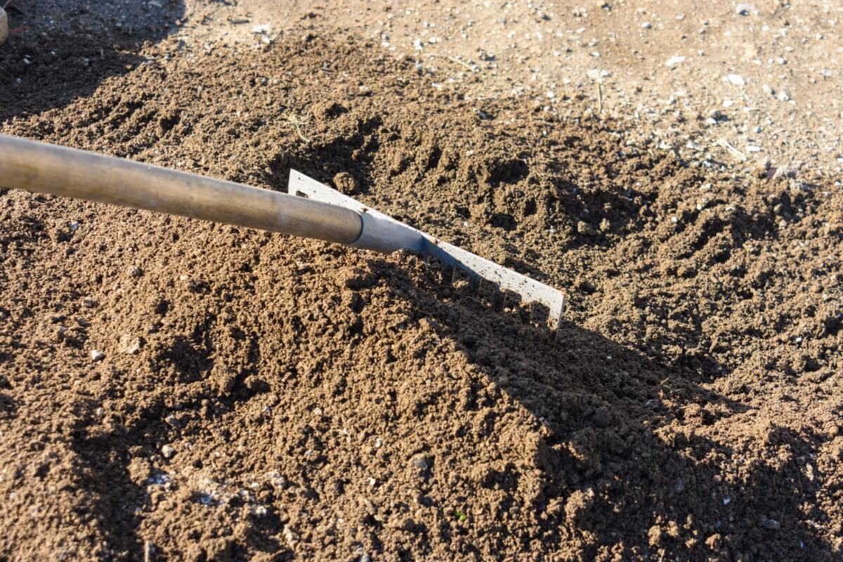 rake loosening a bed of garden soil