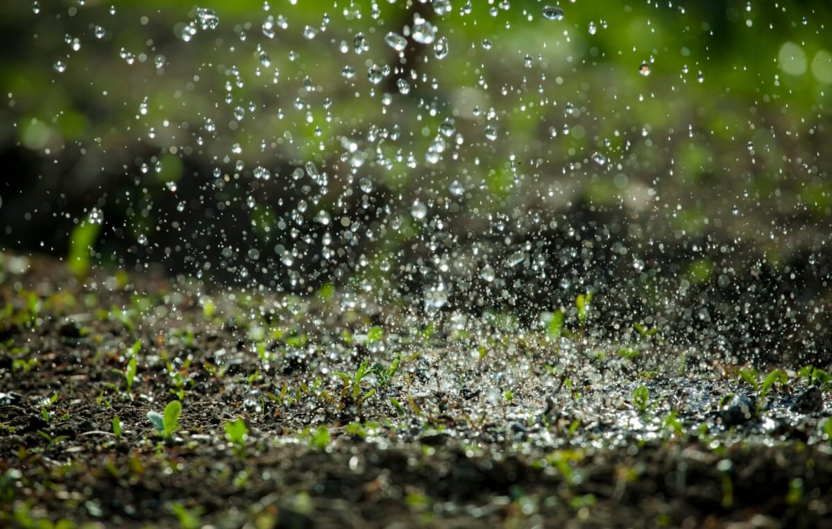 raindrops falling on garden soil