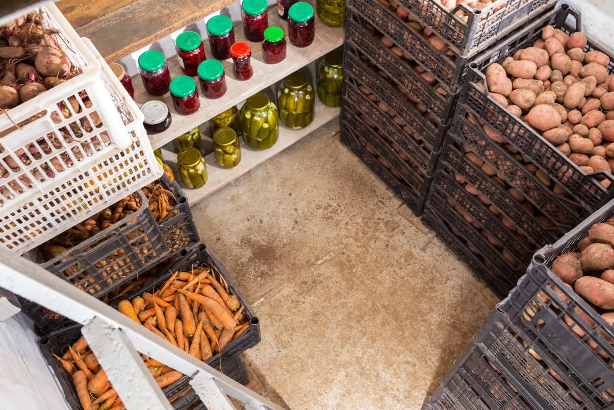 plastic crates of potatoes and carrots being stored
