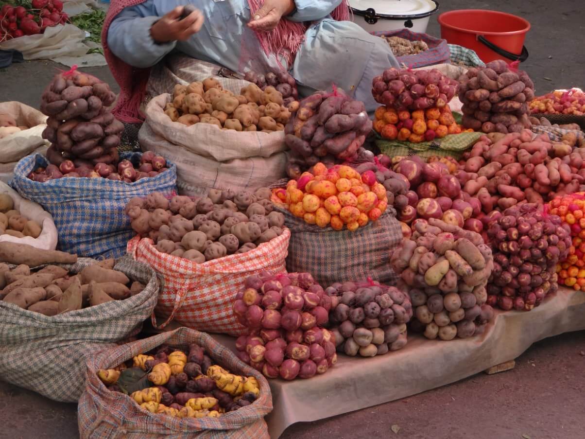 colorful cloth bags of different potato varieties