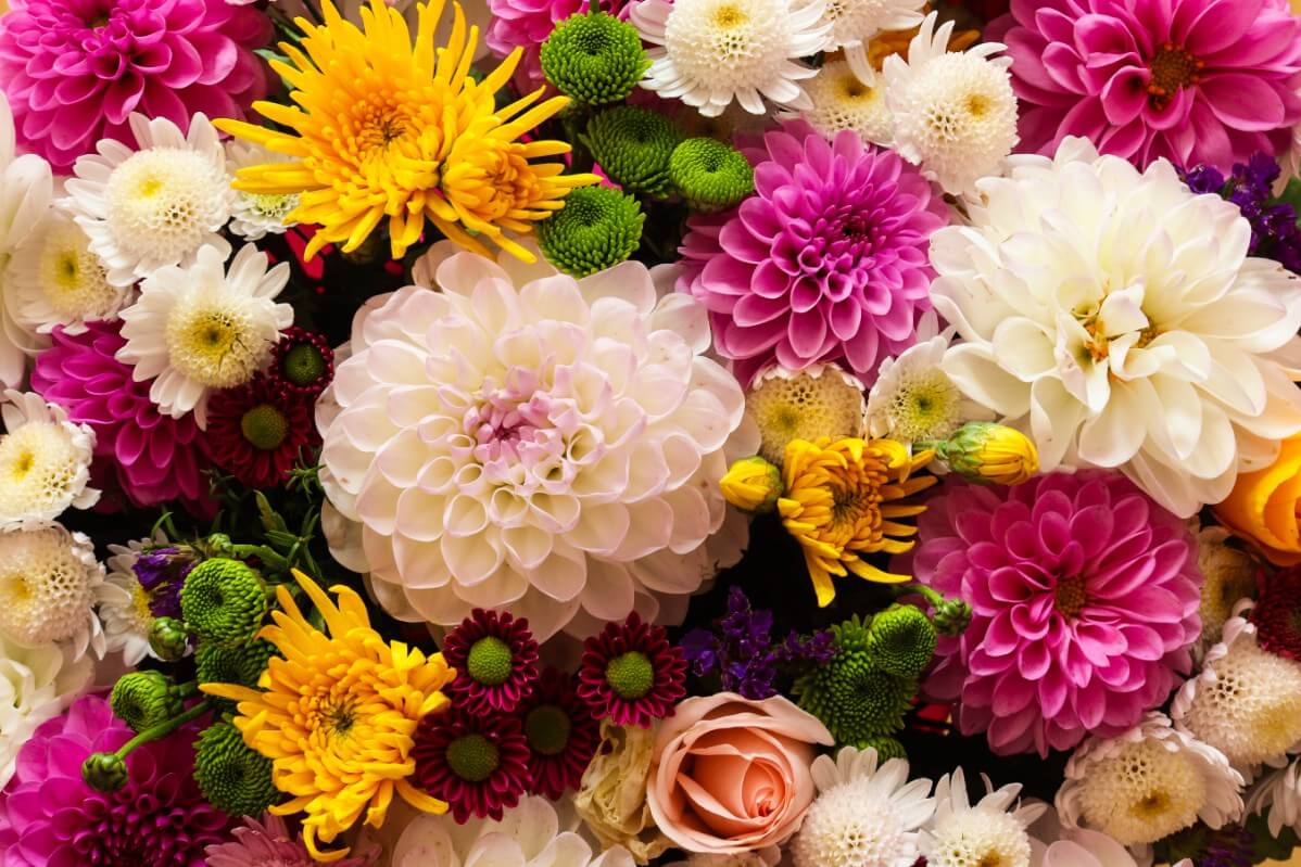 chrysanthemums in a flower arrangement