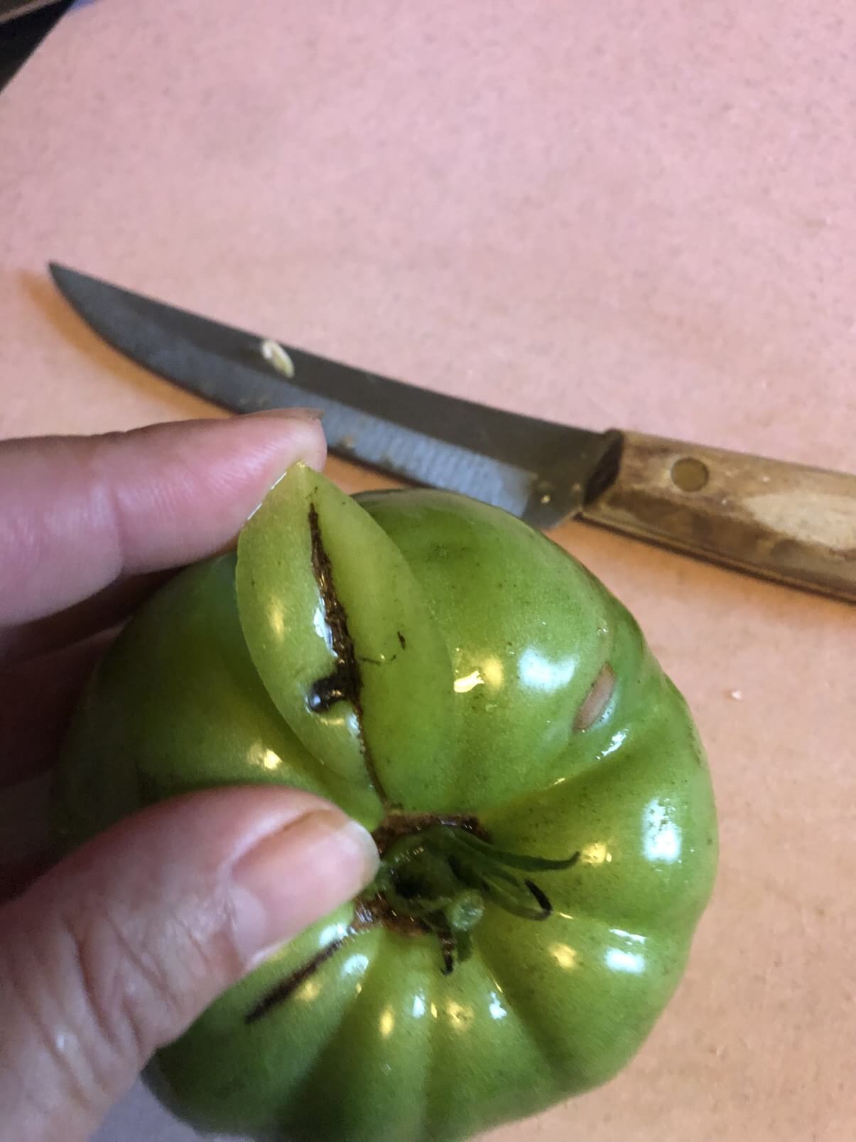 cutting scar out of green tomato