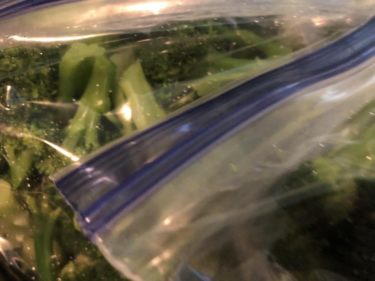 broccoli to freeze in freezer bags