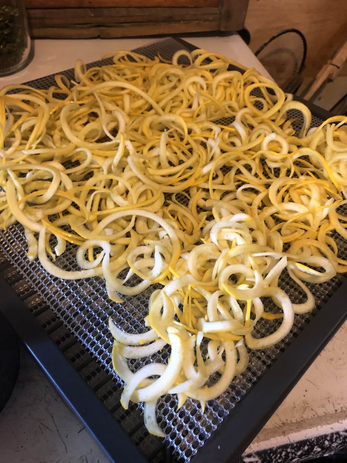 summer squash spirals for dehydrating