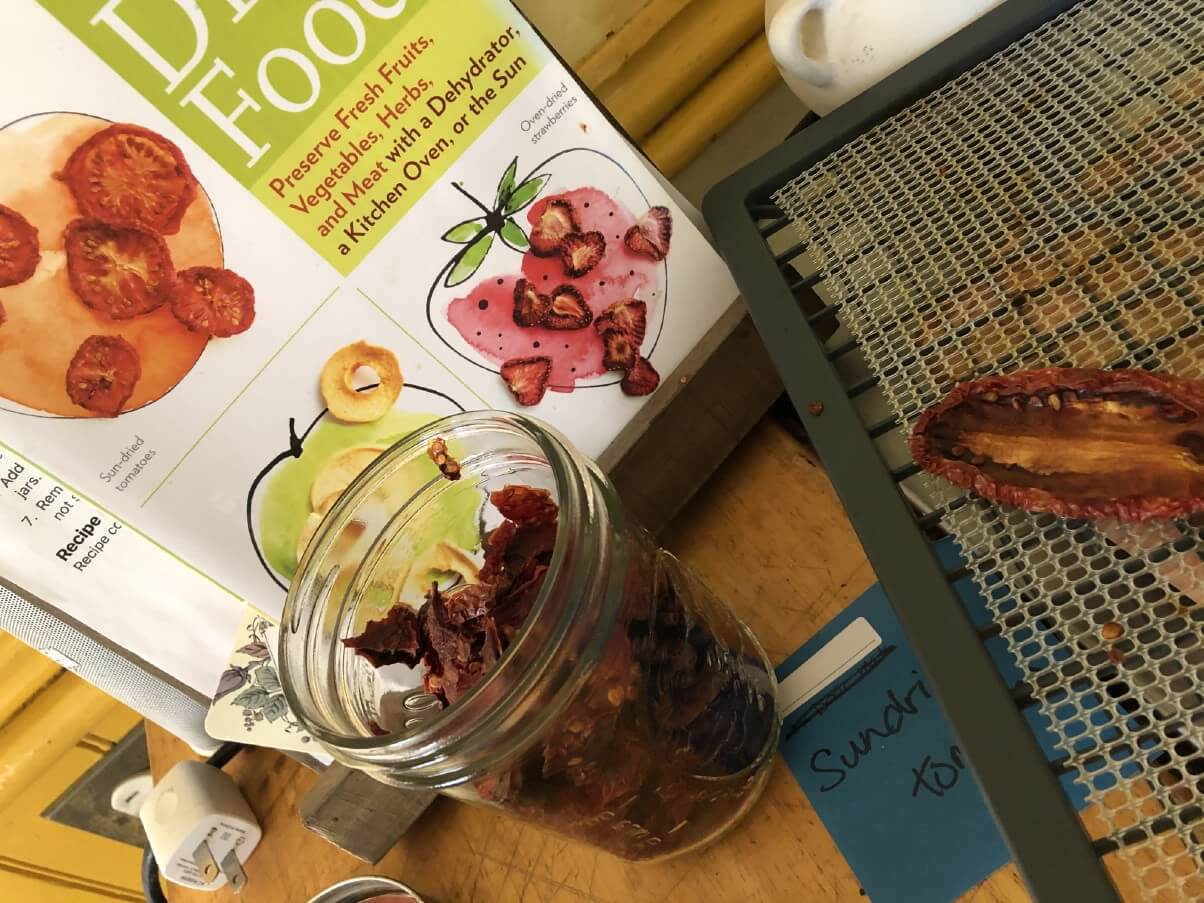 dried foods book with dried chopped tomatoes