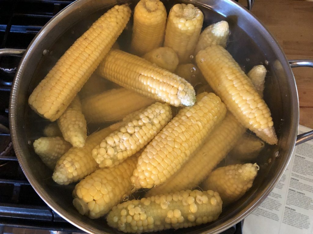 corn on the cob being blanched for freezing and preserving