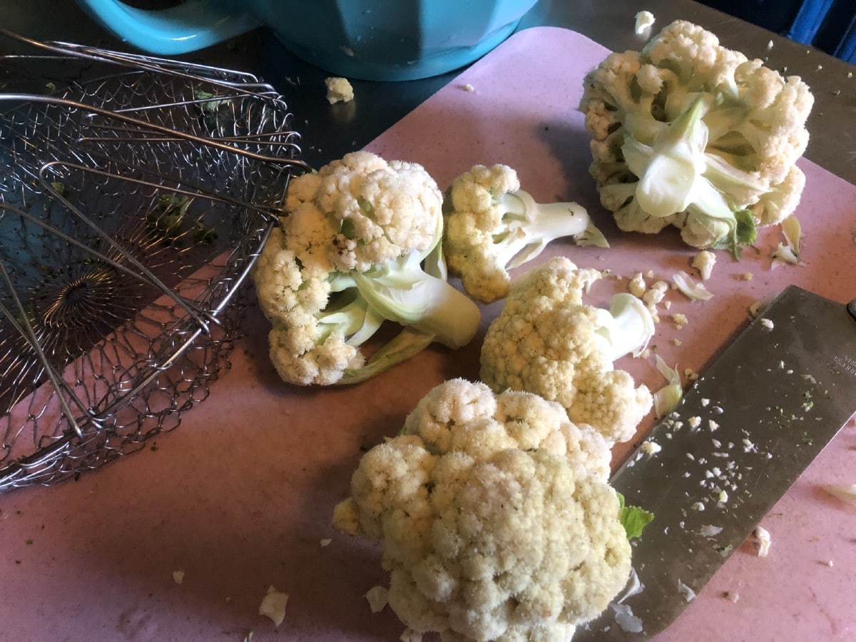 cauliflower being prepped for blanching and freezing