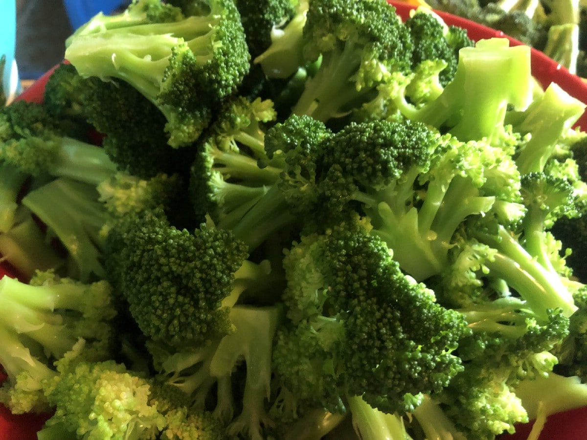 closeup of broccoli prepared for freezing