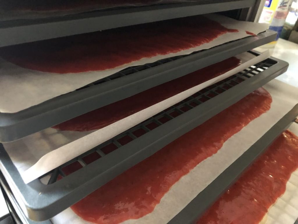 lined sheets with fruit puree being loaded into a dehydrator