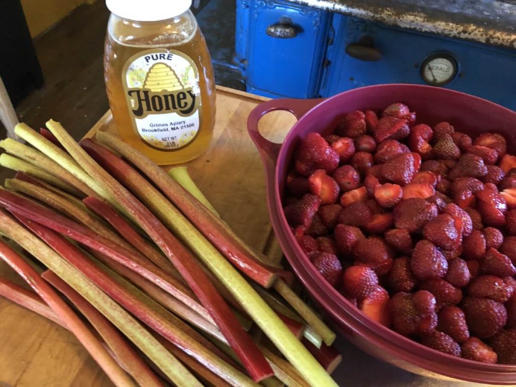 rhubarb strawberries and honey for fruit leather