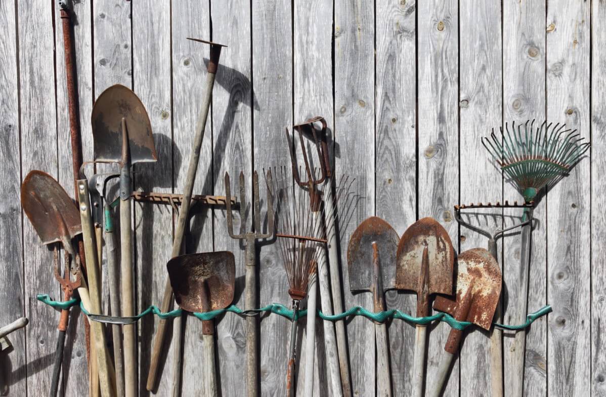 wooden handled garden tools along shed wall