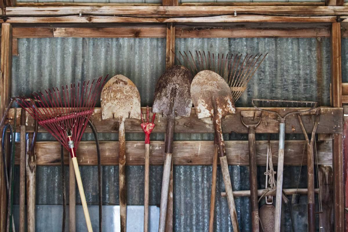 garden tools, shovels, and rakes hanging in a shed