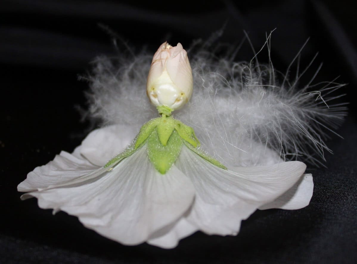 white doll made from a hollyhock bloom