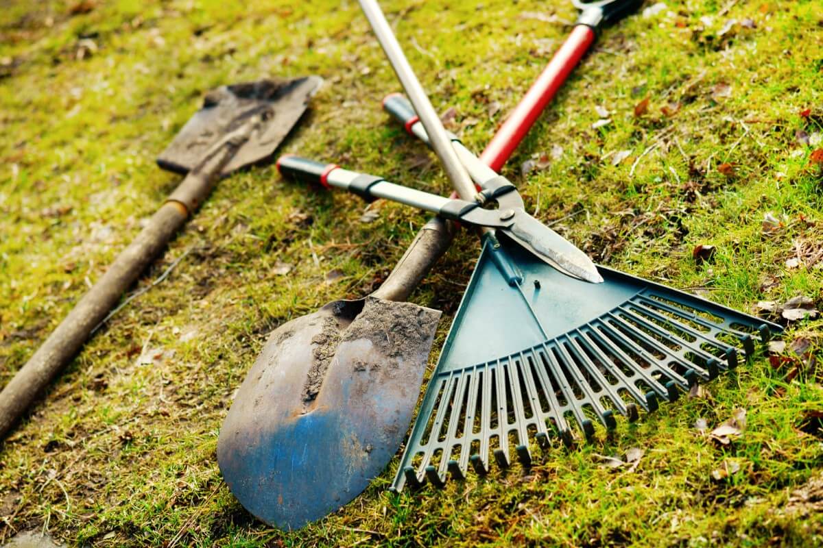muddy garden shovels, rake, and loppers