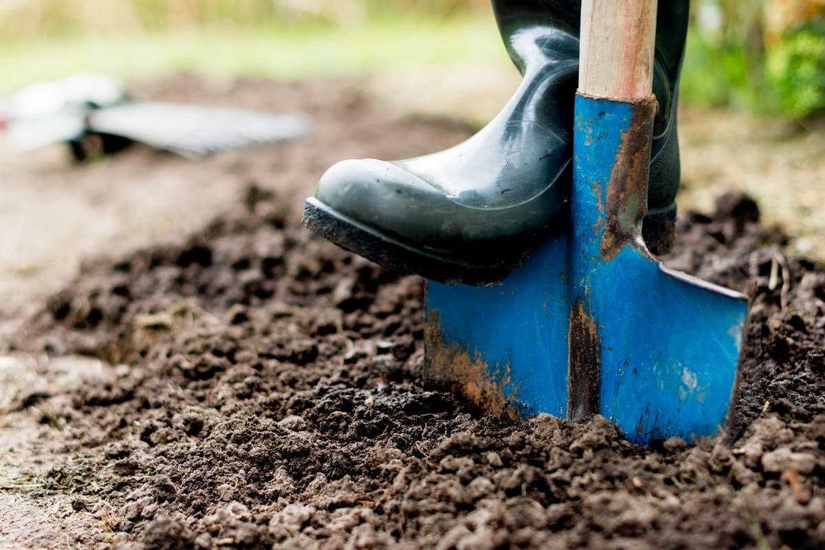 foot on shovel working in garden