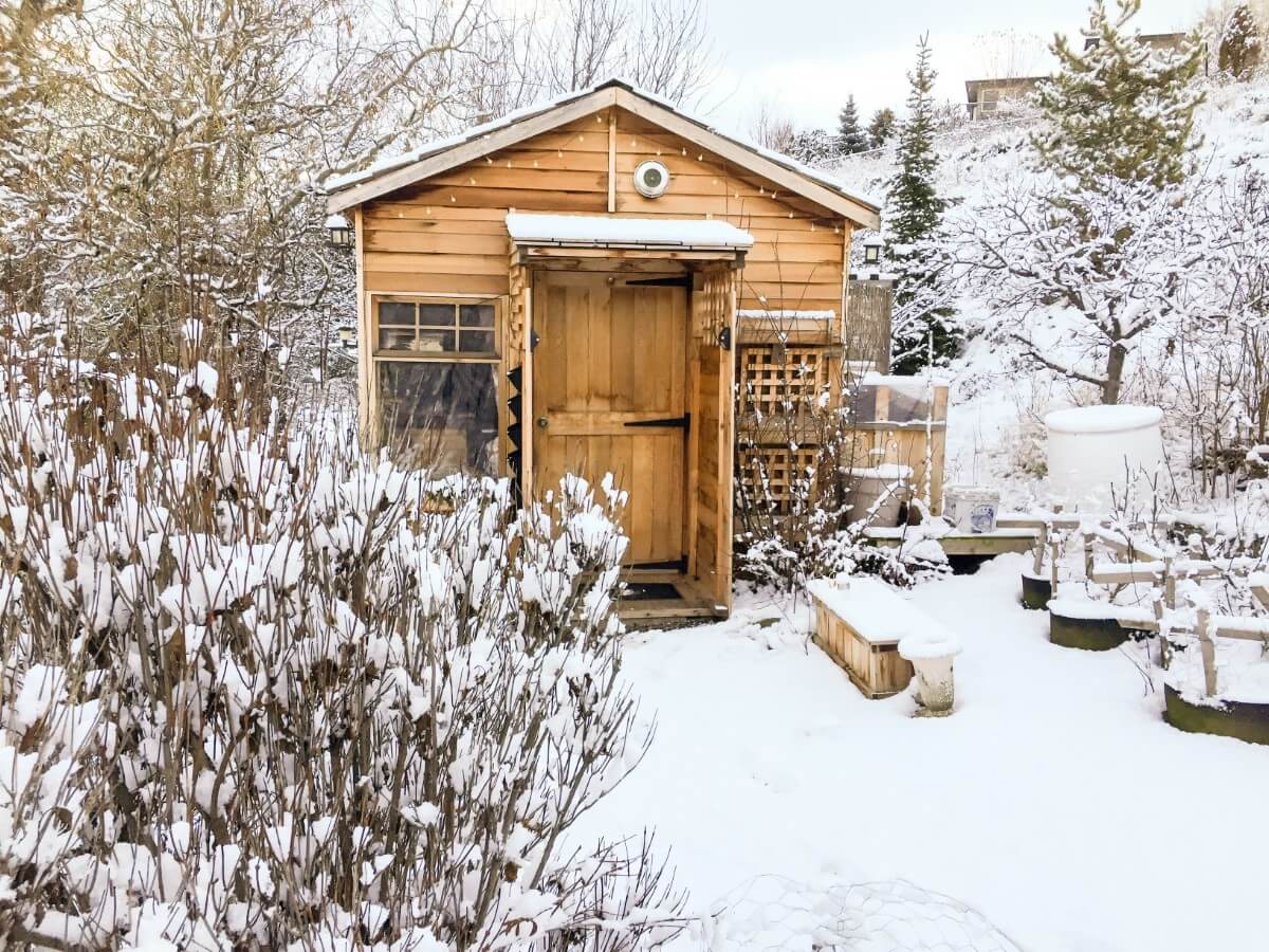 garden shed in snow in winter