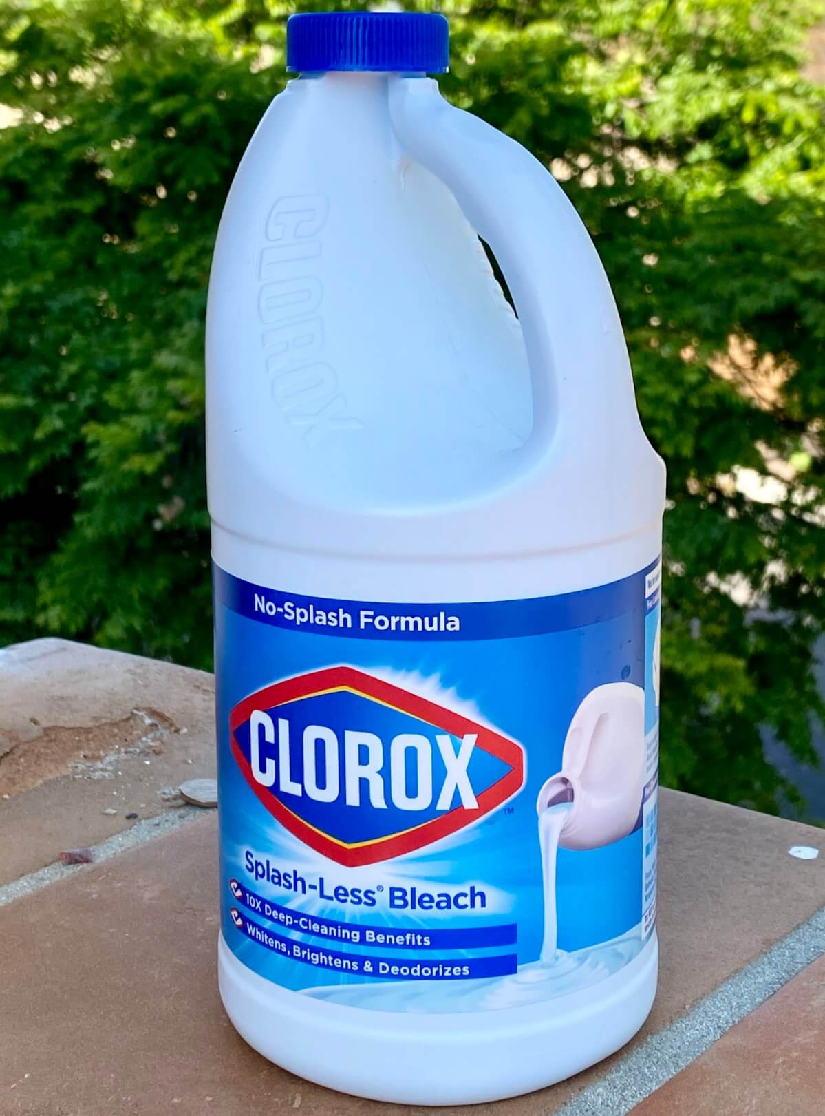 bottle of bleach outside for cleaning garden tools
