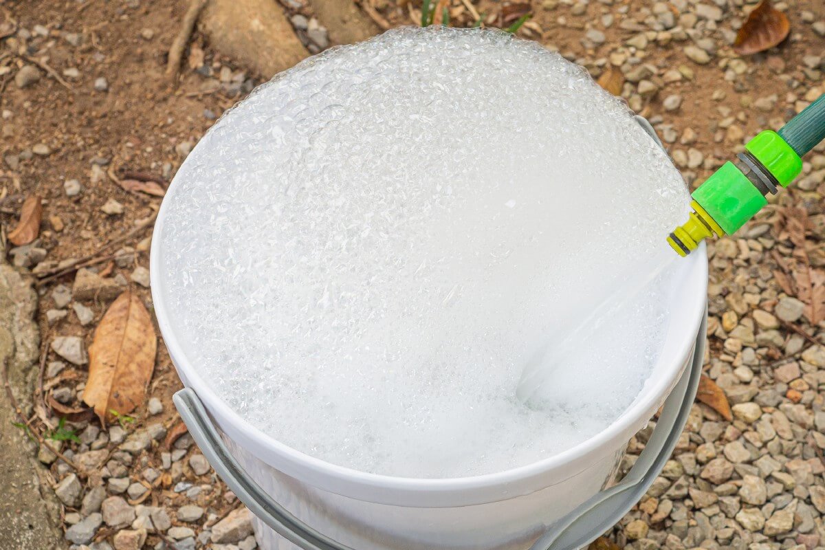bucket of soapy water for cleaning garden tools