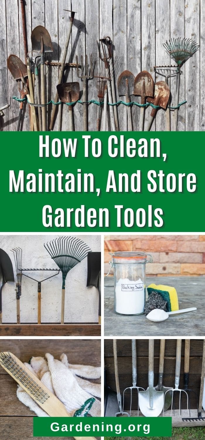 How To Clean, Maintain, And Store Garden Tools - Gardening