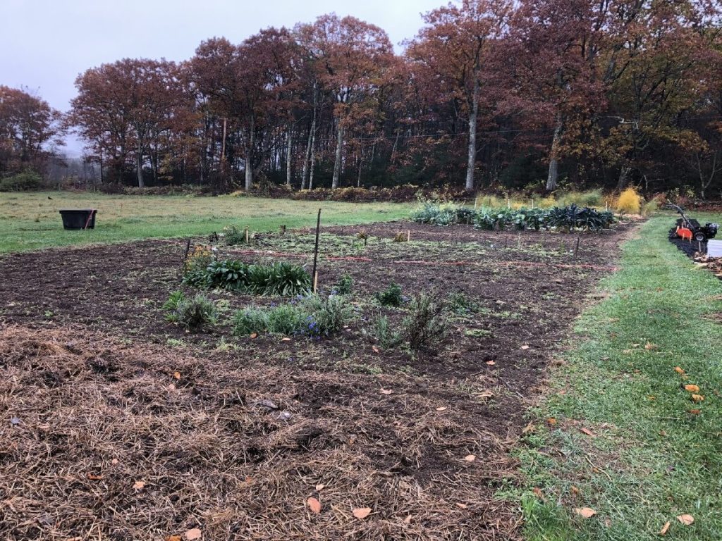 fall-tilled garden ready for rest