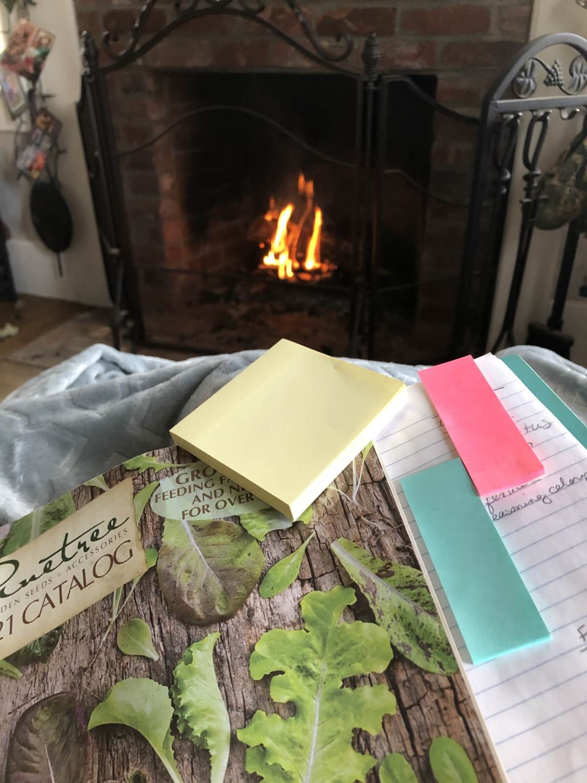seed catalogs and notebook on lap by a fireplace