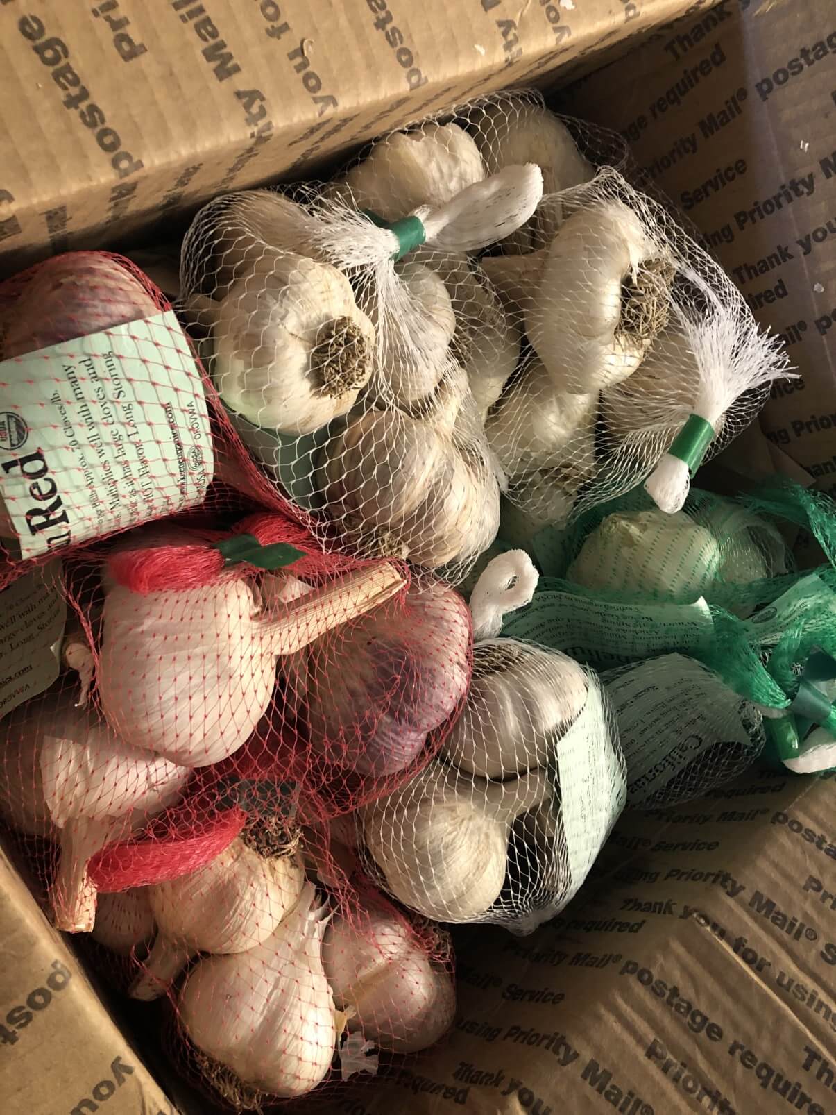 seed garlic bulbs shipped in the mail